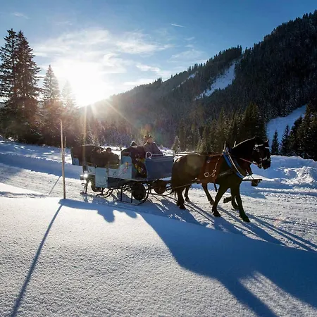 Appartement In - Salzburger Land 41136 Filzmoos